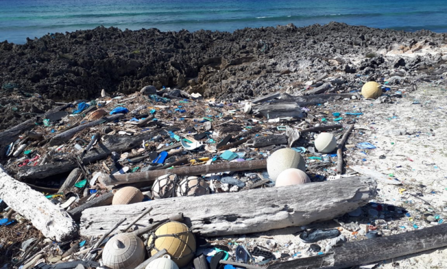 Paradijselijke Seychellen krijgen plastic van over de hele wereld te slikken
